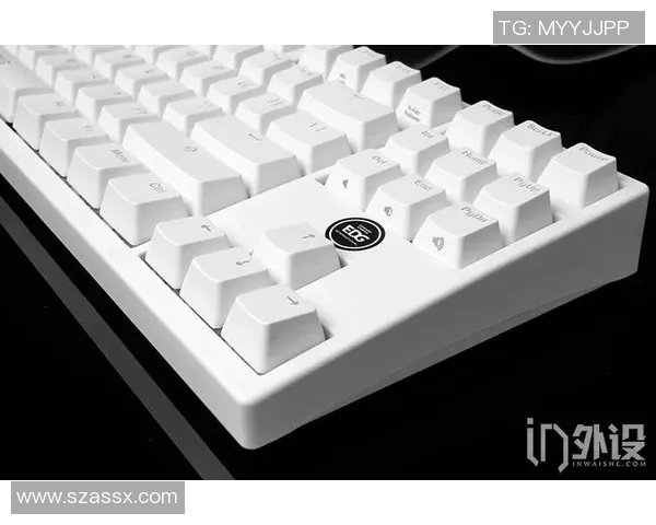 深入解析EDG战队阵地战策略与战术运用技巧实时数据 深入解析EDG战队阵地战策略与战术运用技巧实时数据